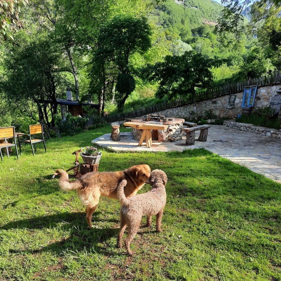 Kulla Hupi Agriturism Bulqize