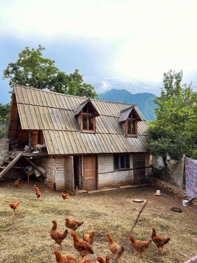 Kulla Hupi Agriturism * Bulqize