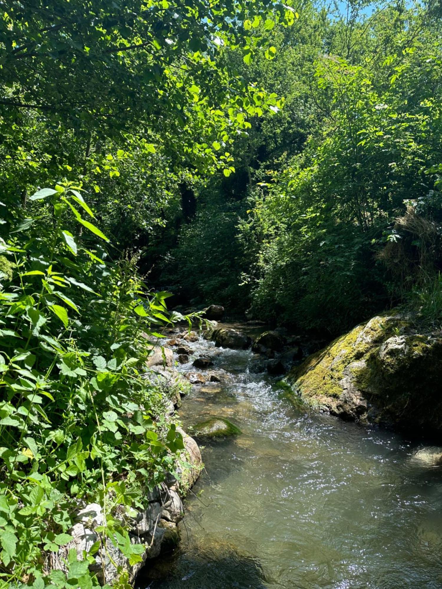 Kulla Hupi *